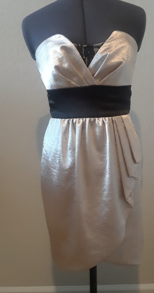 💕HP💕Champagne‎ Satin Dress - Picture 2 of 7